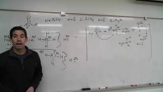 Class 12th – Structure of Carbonyl Group  Aldehydes Ketones and Carboxylic Acids  Tutorials Point [upl. by Ajam]