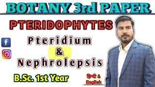 Lt10 Pteridium amp Nephrolepsis Pteridophyta BOTANY 3rd PaperBSc1st Year [upl. by Estrellita]