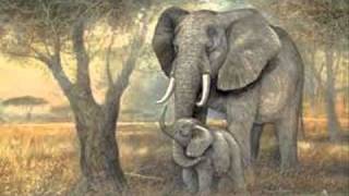 Saint Saens Carnival of the AnimalsLElephant The Elephant [upl. by Sivrahc980]