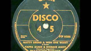 Tappa Zukie amp Horace Andy  Natty Dread A Weh She Want [upl. by Dyrraj]