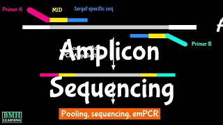 Amplicon Sequencing  Sequencing Of PCR Products  AmpliSeq [upl. by Cerys]