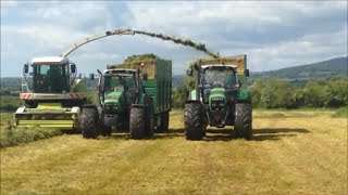 Houlihan Silage 2015 [upl. by Fanchet593]