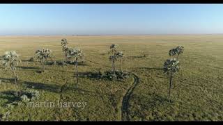 The Magic of the Makgadikgadi Pans National Park [upl. by Notsle]