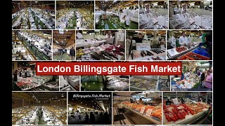 Londons Biggest Fish Market in Billingsgate Fish Market [upl. by Alica]