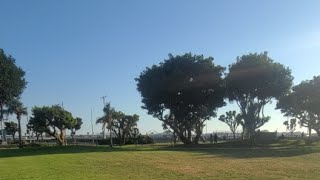 LAX airport Plane Spotting Park [upl. by Annawahs]