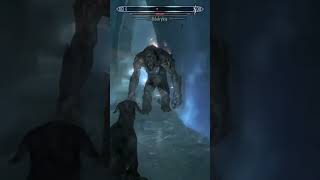 Fighting Sanctuary Guardians SKYRIM  MASTER DIFFICULTY [upl. by Neelrahs958]