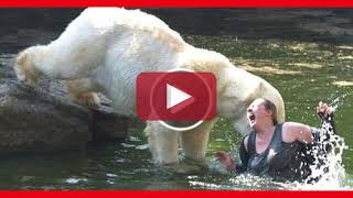 OSO BLANCO hace pedazos a esta muj3r😱 en Zoológico de Texas esta mañana [upl. by Hillie761]