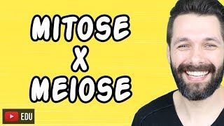 MITOSE E MEIOSE  Diferenças  Biologia com Samuel Cunha [upl. by Oah174]