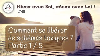 48 Les systèmes de défense de lEgo  le système quotRigidequot Liens avec la numérologie et la MTC [upl. by Pearlstein]