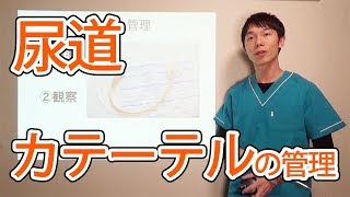 尿道カテーテルの管理  ドクターメイト内科医 山村聡 [upl. by Lasyrc]