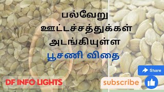 பல்வேறு ஊட்டச்சத்துகள் அடங்கியுள்ள பூசணி விதை  Pumpkin seed which contains various nutrients [upl. by Ibbor]