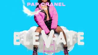 Pap Chanel  Elevate Official Visualizer [upl. by Crescin]