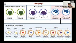 How to Approach Granulomatous lesions  All you need to know about granulomas  Lecture with Cases [upl. by Ydasahc314]