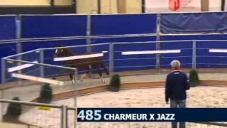 Generaal by Charmeur x Jazz x Contango [upl. by Dadivitan]