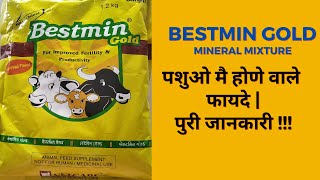 Bestmin Gold Mineral Mixture for Cattles  Benefits and Dosage  Animal Feed Supplement [upl. by Lorri]