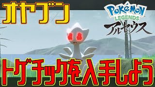 【ポケモンアルセウス】オヤブンのトゲチックを入手しよう【Pokémon LEGENDS アルセウス】 [upl. by Aizirtap]