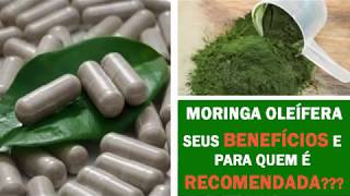 Moringa Oleífera Para que Serve  Benefícios e onde Comprar  Chá de Moringa em Caps [upl. by Prudence]