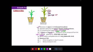 LEC2 ON PHYTOHORMONE BY KABIR POKHAREL [upl. by Imena]