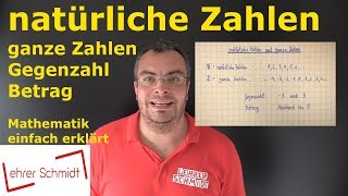 natürliche Zahlen amp ganze Zahlen  Mathematik  einfach erklärt  Lehrerschmidt [upl. by Damarra228]