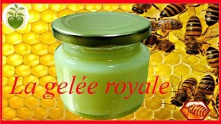 La gelée royale super aliment biologique [upl. by Attennod]