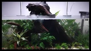 Ciano  Aqua 60 Aquarium with LED Light Black  Dubai [upl. by Newnorb]