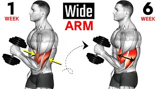 Full Arms Exercises with Dumbbells  Biceps and Triceps  🦾🦾 [upl. by Aneekal]