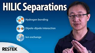 Understanding the HILIC Separation Method in LC [upl. by Ennaer801]