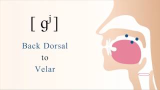 ɡʲ  voiced unaspirated palatalized dorsal velar stop [upl. by Sirrot]