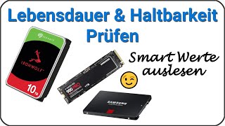 Festplatte auf Fehler prüfen 💽 Smart Werte auslesen ⏲️ Lebensdauer amp Haltbarkeit von HDD amp SSD [upl. by Dom438]