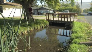 Native plant project helping keep Missoulas water clean [upl. by Cathy]