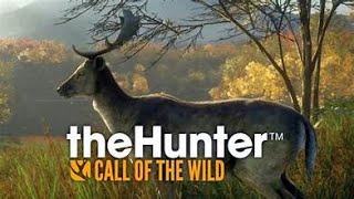 TheHunter Call Of The Wild [upl. by Sollars23]