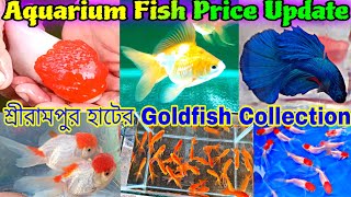 Aquarium Fish Price Update  Aquarium Color Fish Price  Serampore Aquarium Fish Market [upl. by North]