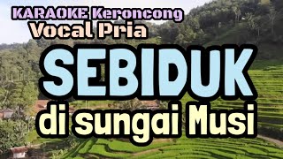 Keroncong Karaoke SEBIDUK DI SUNGAI MUSI Vocal Pria [upl. by Vern581]