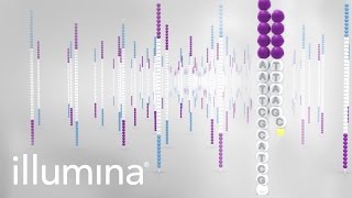 Overview of Illumina Sequencing by Synthesis Workflow [upl. by Ahseikan]