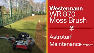 Clearing Moss and Dirt from Astroturf  Westermann WR870 Moss Brush shorts [upl. by Ennovahc]