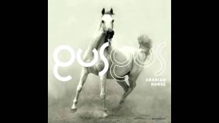 Gus Gus  Arabian Horse [upl. by Enirhtak]