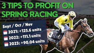 3 Tips To Profit On Spring Racing In 2024 [upl. by Acitel464]