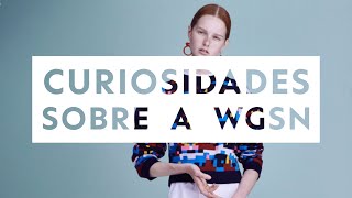 Curiosidades sobre a WGSN Como a WGSN estrutura tendências [upl. by Ysnap376]