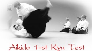 Aikido Aikikai 1st Kyu Full Real Test [upl. by Yelda]