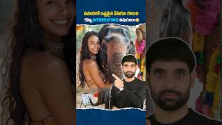 Elephants గురించి మీకు తెలియని కొన్ని విషయాలు 😳 elephant elephantvideo shortsfeed ismartshiva [upl. by Vivie]