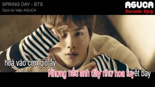 Karaoke Việt  Audio SPRING DAY  BTS [upl. by Ylus]