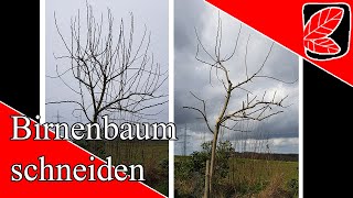 Birnenbaum schneiden im Frühjahr [upl. by Storer254]