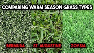 Brief Comparison of Warm Season Grass Types  Bermudagrass  St Augustine  Zoysia [upl. by Sirc983]