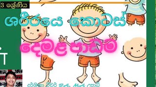 3 වසර දෙමළ පාඩම ශරීරයේ කොටස් 3 wasara demala padama shariraye kotas [upl. by Fara]