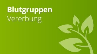 Blutgruppen AB0 und Rhesusfaktor und ihre Vererbung  Biologie  Genetik und Entwicklungsbiologie [upl. by Oterol882]