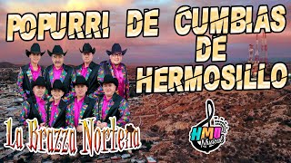 Popurrí Cumbias de Hermosillo En Vivo  La Brazza Norteña [upl. by Womack]