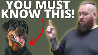 3 THINGS TO KNOW BEFORE GETTING A ROTTWEILER [upl. by Landahl766]