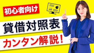 【決算書の読み方】貸借対照表のROEとROAの違いを解説！ [upl. by O'Conner224]