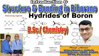 Hydrides of boron bsc 2nd year Structure of diborane Bsc chemistry Bsc chemistry 2nd year [upl. by Iadahs119]