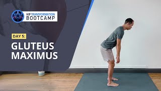 HIP TRANSFORMATION BOOTCAMP Day 5 Gluteus Maximus [upl. by Ytsanyd948]